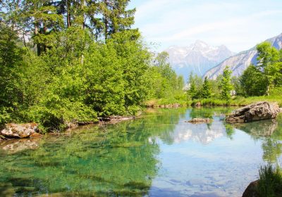 Yoga en pleine nature