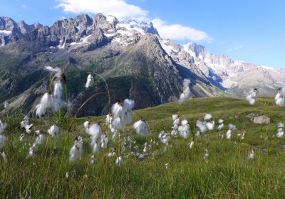 Balade ou randonnée découverte « Géologie / Glaciologie » avec le bureau des Guides