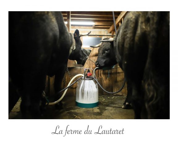 La ferme du Lautaret