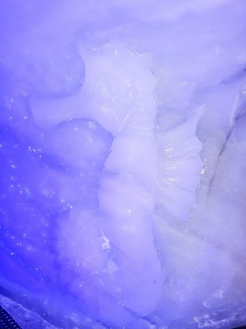 Grotte de glace – La Grave