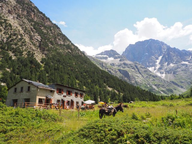 les ânes sont arrivés au refuge du carrelet