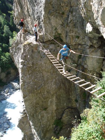 Pont de singe