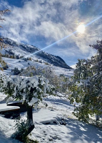 Chalet Le Flocon