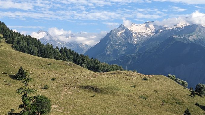 Chalet La Boutame – Villard-Reculas Alpe d’Huez Grand Domaine – Vue du balcon des chèvres en sortie sur l’alpage