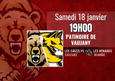 Hockey D2 : Les grizzlys de Vaujany VS Les renards (Roanne)