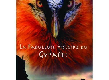 Projection du film: La fabuleuse histoire du Gypaète barbu