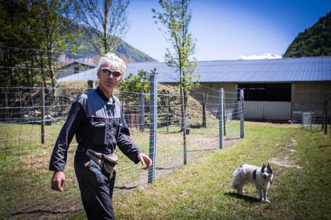 La ferme des bisons