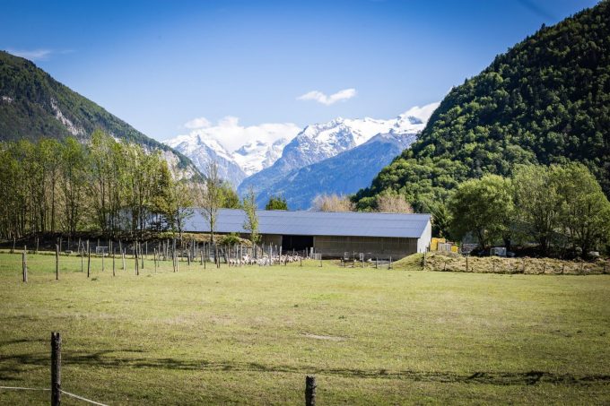 La ferme des bisons