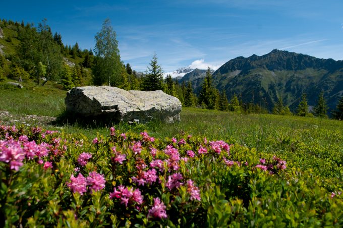 Lac de Belledonne (par la cabane du Chazeau) – Rando_Allemond