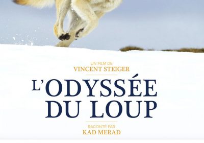 Projection jeune public : l’Odyssée du Loup