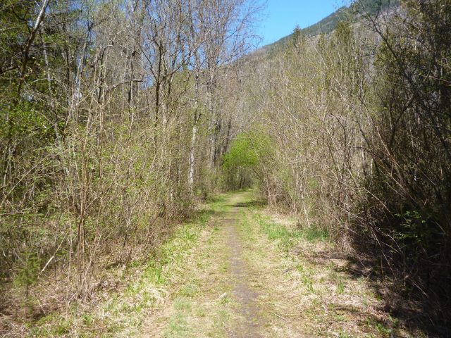 Sentier en bordure de forêt